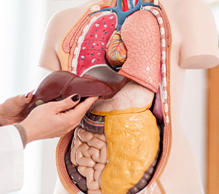 انواع گرید بیماری کبد چرب